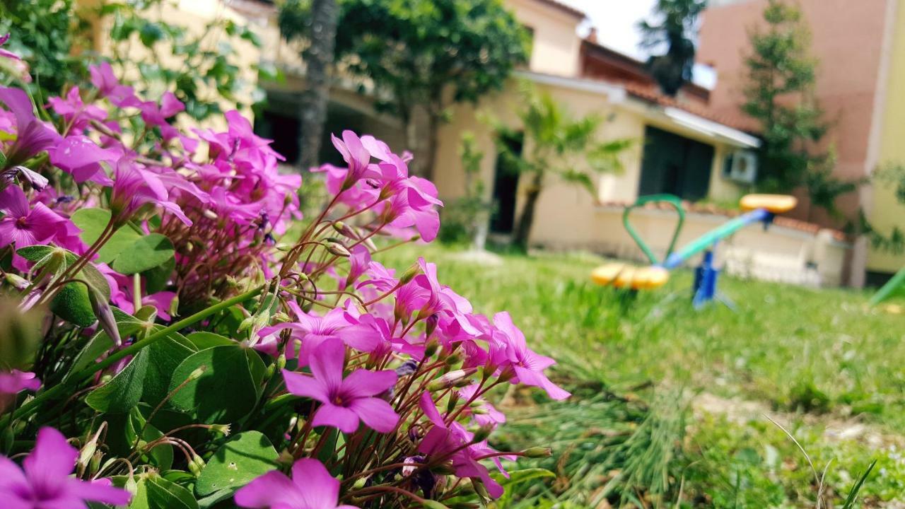 Apartmani Koin Medulin Ngoại thất bức ảnh
